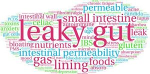 word picture with "leaky gut" and other words describing the intestine, in serif font and red, blue and green colors