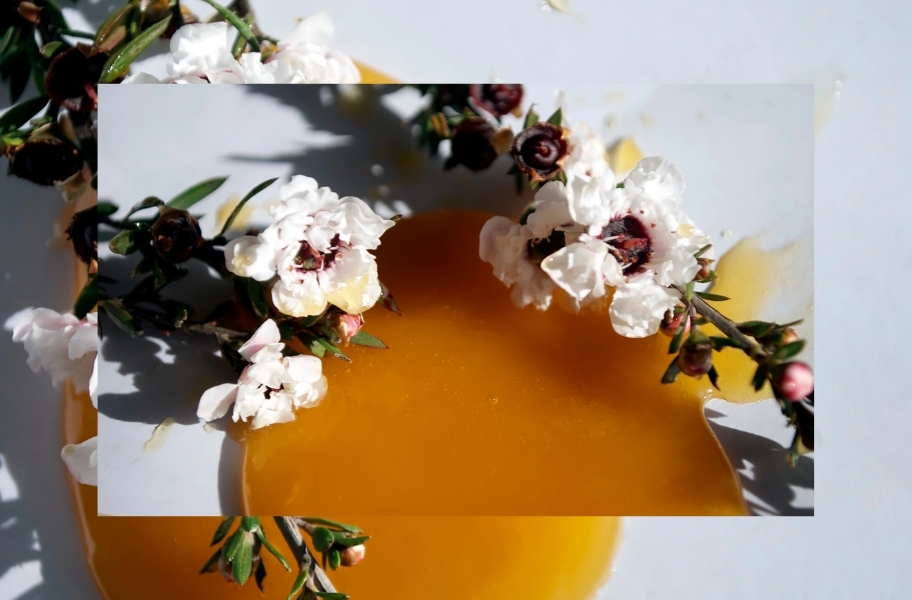 Raw Honey Vs. Manuka Honey | What's the Difference?