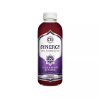 GT's Synergy Elderberry Juniper Raw Kombucha - Front view