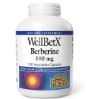 Natural Factors Berberine - Main