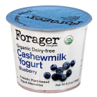 Forager Cashewmilk Blueberry Yogurt - Main