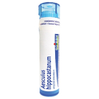 Boiron Homeopathic Aesculus Hippocastanum 30C approx. 80 pellets