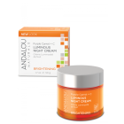 Andalou Naturals Purple Carrot + C Luminous Night Cream, 1.7 oz.