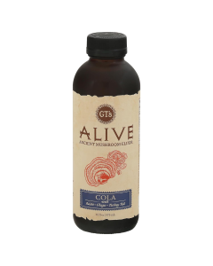 GT's Living Foods Alive Cola Adaptogenic Tea - Front view