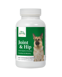 Terry Naturally Joint & Hip for Dogs - Main