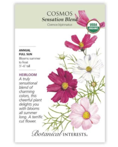 Botanical Interests Cosmos - Main