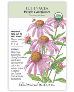 Botanical Interests Echinacea Purple Coneflower - Main