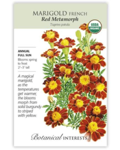 Botanical Interests Marigold - Main