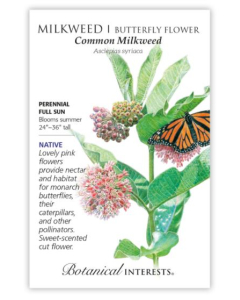 Botanical Interests Common Milkweed - Main