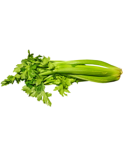 Organic Celery