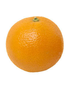 Organic Navel Orange