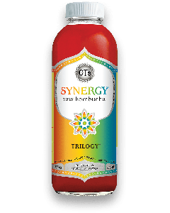 GT's Synergy Raw Kombucha Trilogy