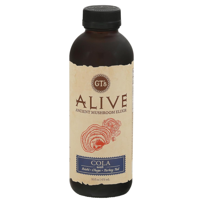 GT's Living Foods Alive Cola Adaptogenic Tea - Front view