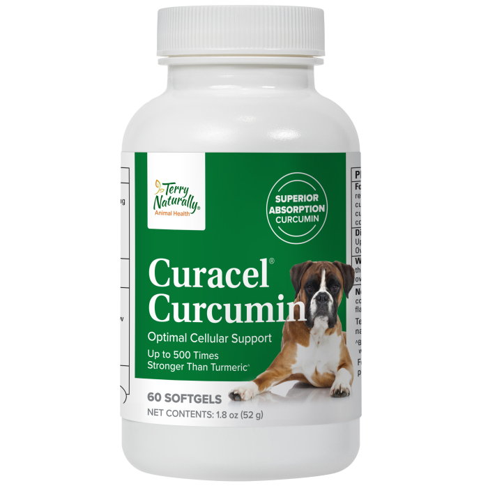 Terry Naturally Curacel Curcumin - Main