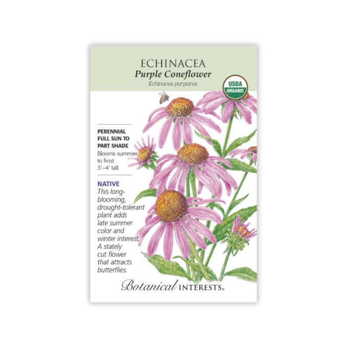 Botanical Interests Echinacea Purple Coneflower - Main