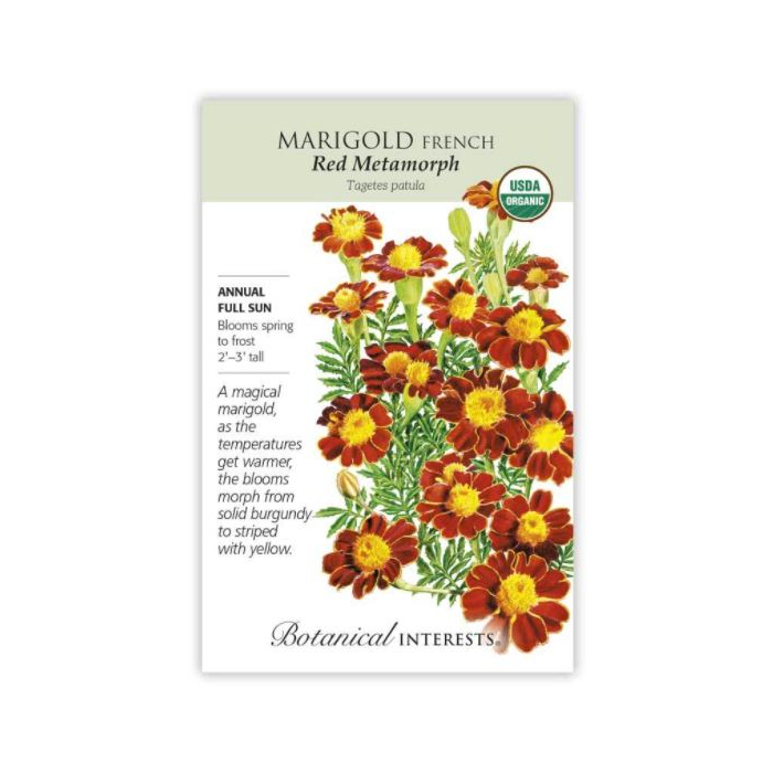 Botanical Interests Marigold - Main