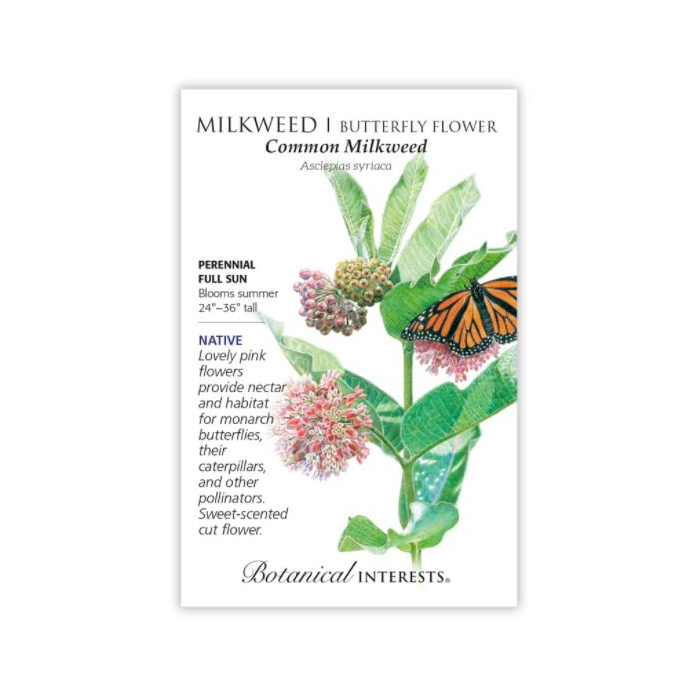 Botanical Interests Common Milkweed - Main