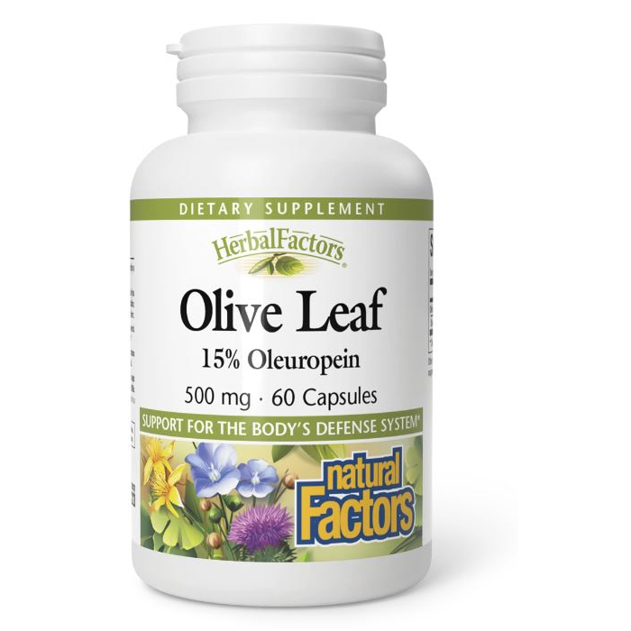 Natural Factors Olive Leaf - Main