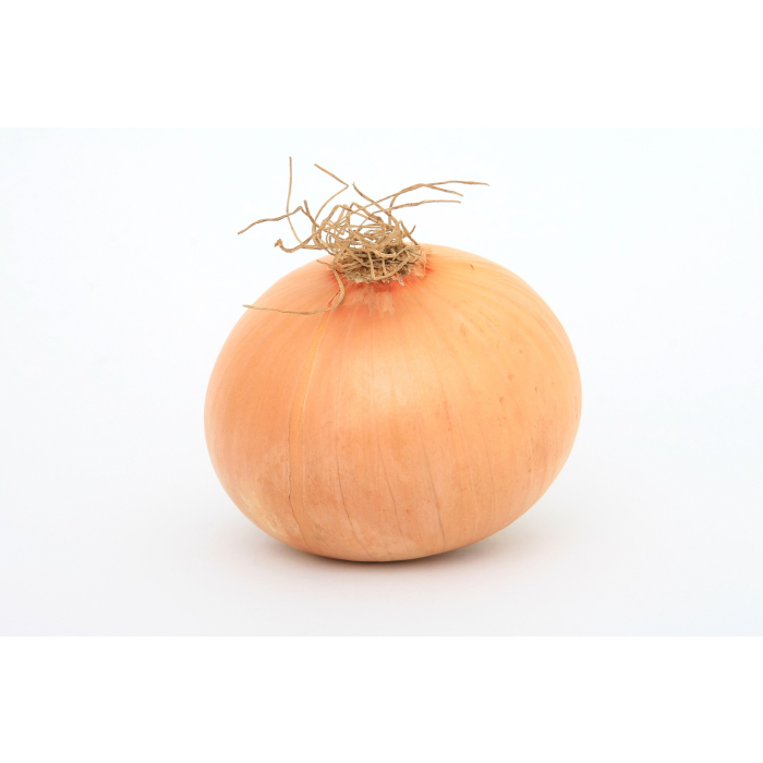 Organic Jump Yellow Onion