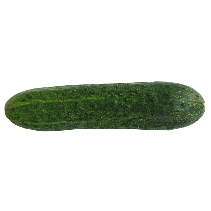 Organic Cucumber