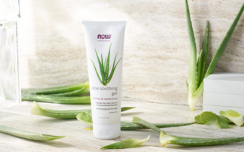 Aloe gel with aloe plants