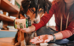 Man giving dog supplements